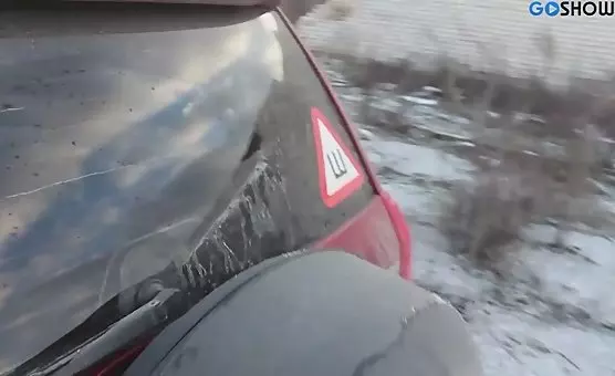 Passionate Auto Encounter with Brunette and Gearshifter